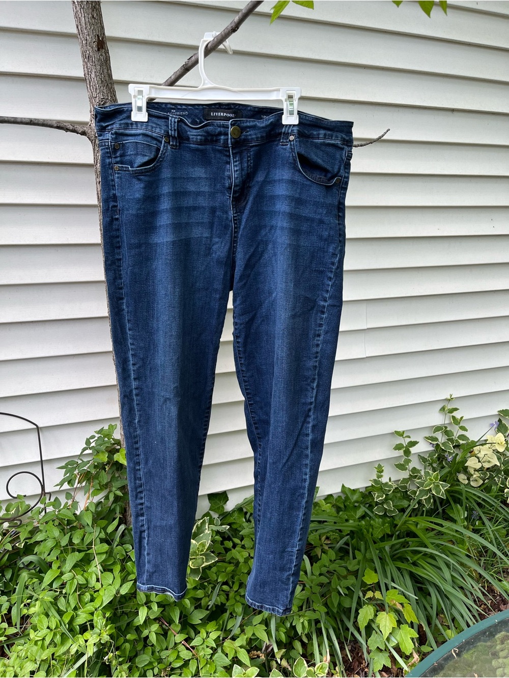 Liverpool Women's Skinny Jeans in Deep Indigo